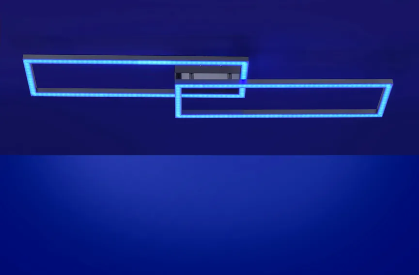 Deckenleuchte "Ls-Maxi" detail