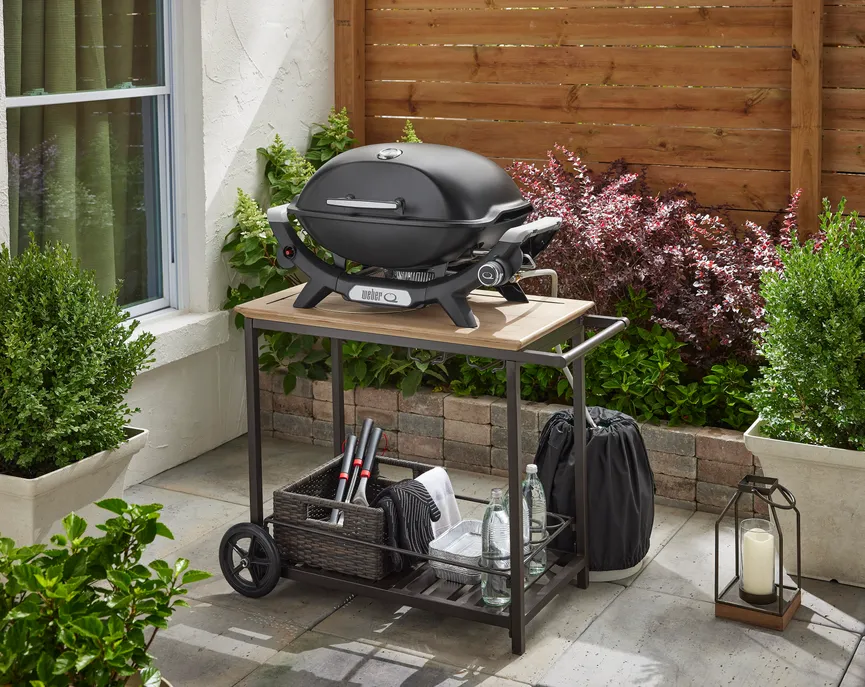 Weber Q2100N milieu