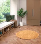 milieu