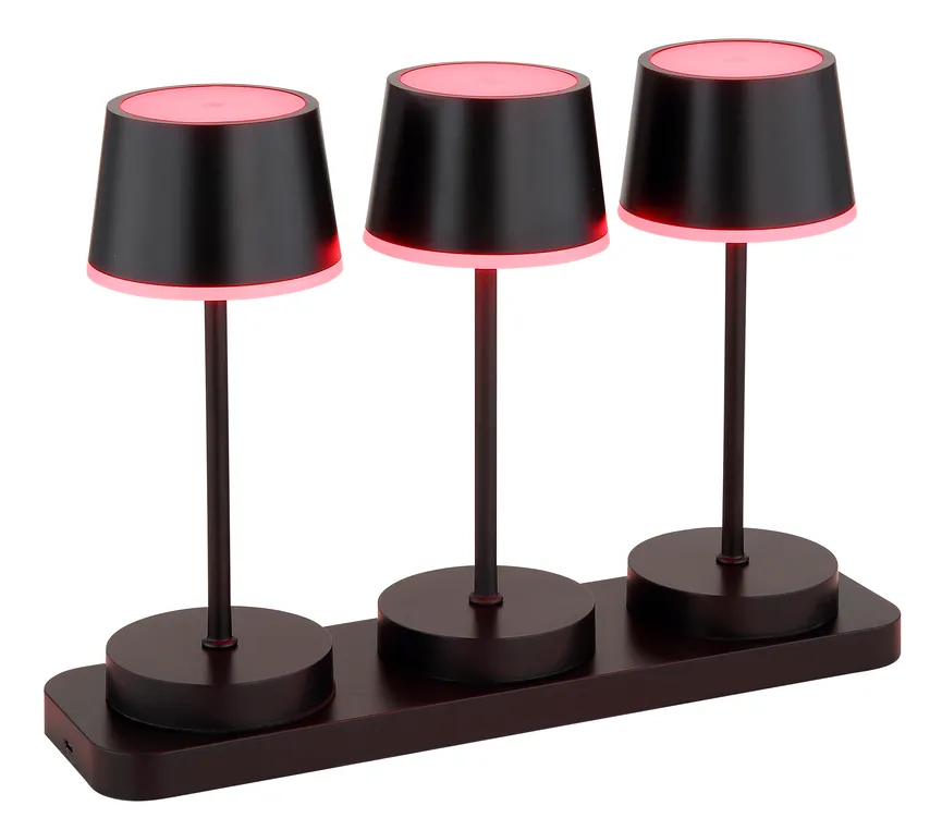 Akku-Tischleuchte "Dawson" detail