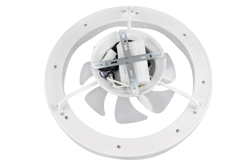 Ventilator "Skaulo" detail