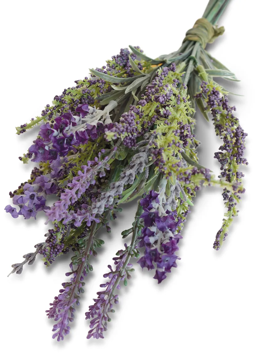 Lavendel-Astilbe-Bund lavendel hauptaufnahme