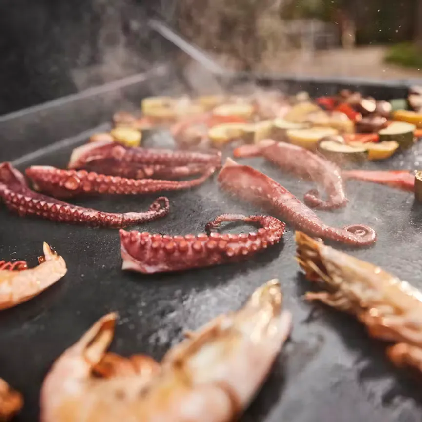 GPD 76cm Premium Plancha milieu