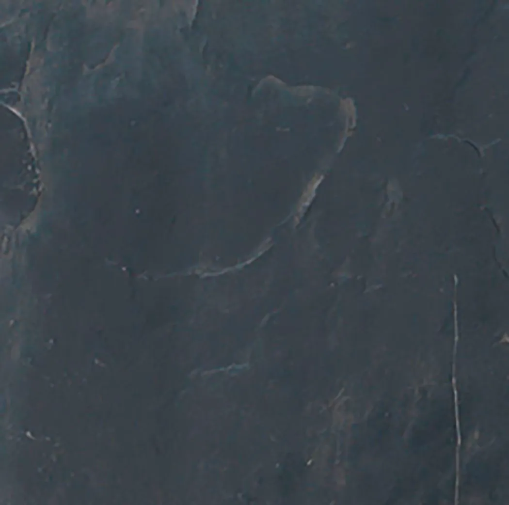 material_farbe