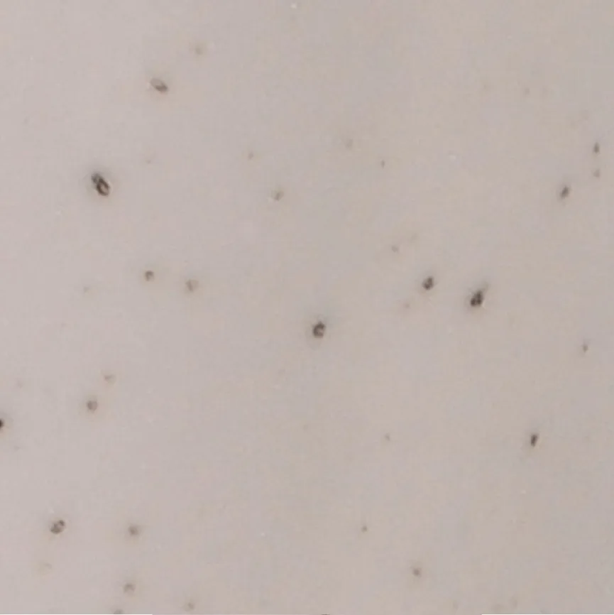 Cone "Street Food" 2er-Set material_farbe