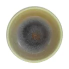 material_farbe