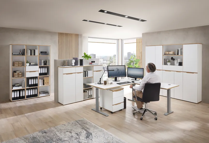 Büroschrank milieu