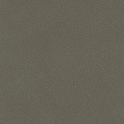 Olive material_farbe