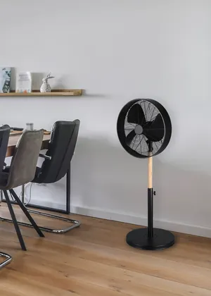 Standventilator