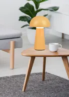 milieu