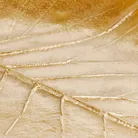 material_farbe