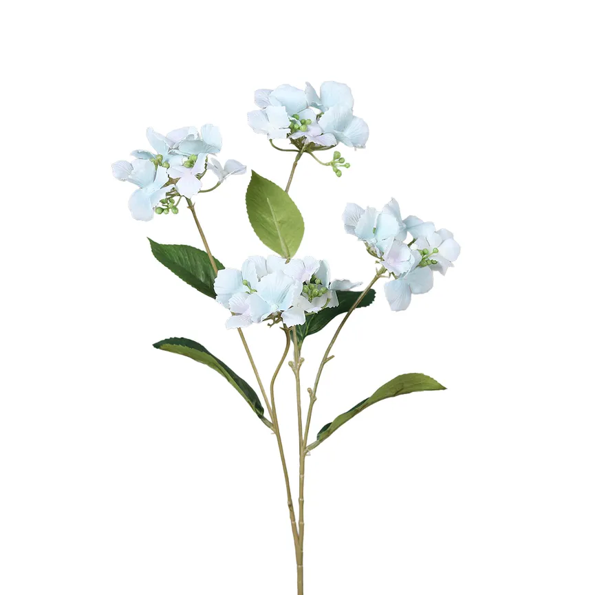 Baumhortensie hellblau hauptaufnahme