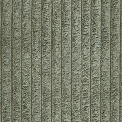 Turtle material_farbe