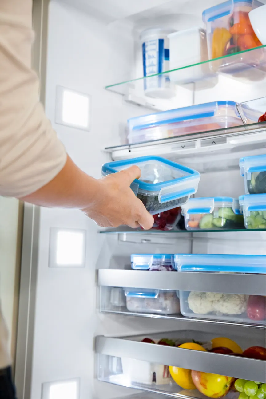 Frischhaltedosen-Set 3-tlg. milieu