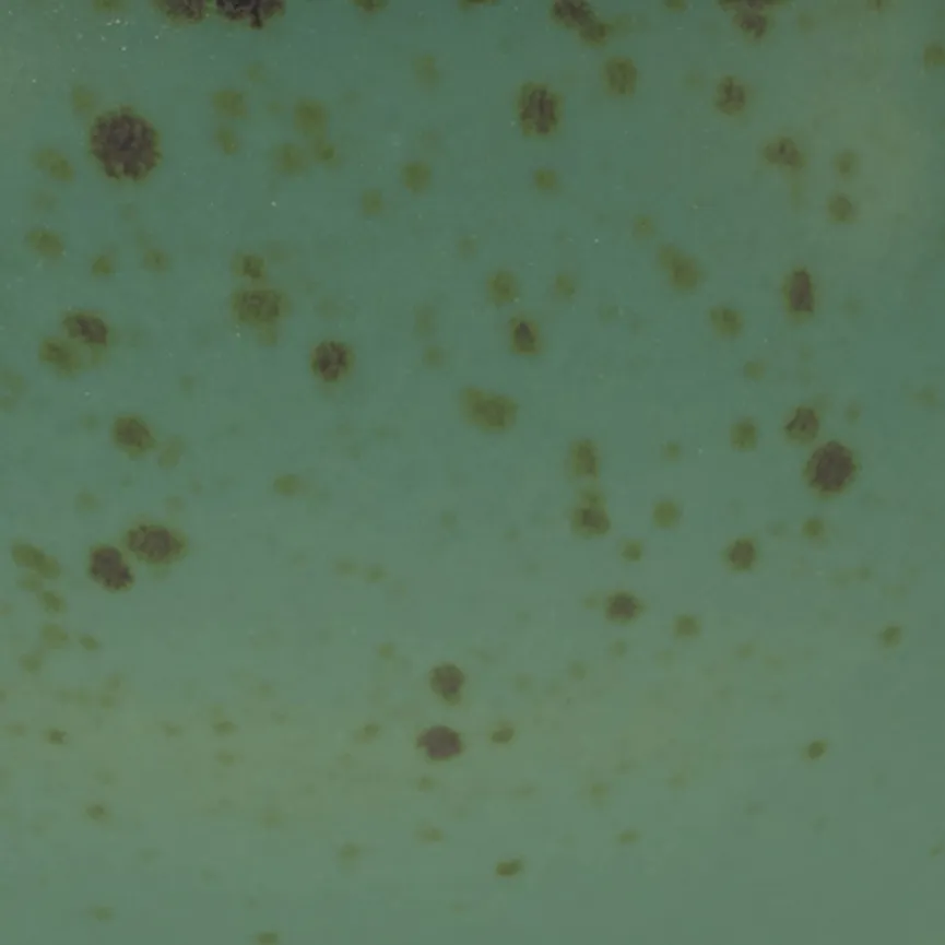 Dipschale "Nature Collection" material_farbe