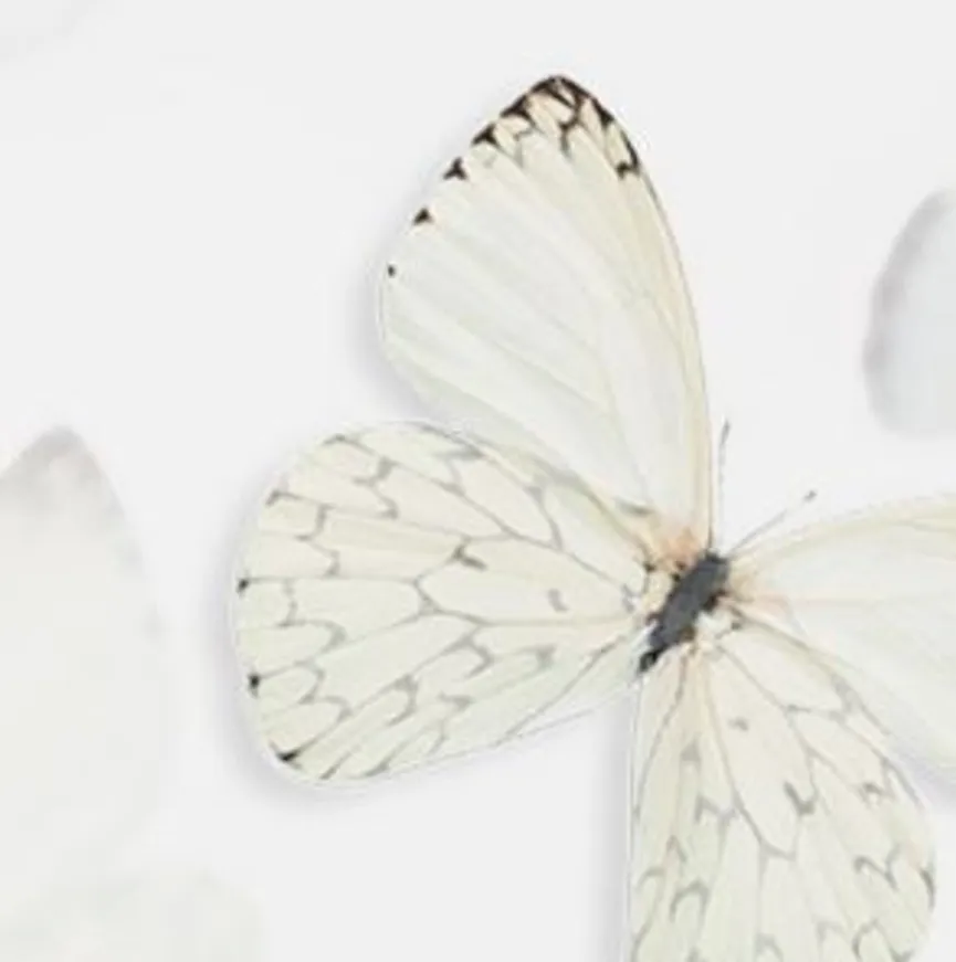 Kissenhülle 7003 material_farbe