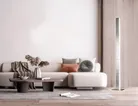 milieu